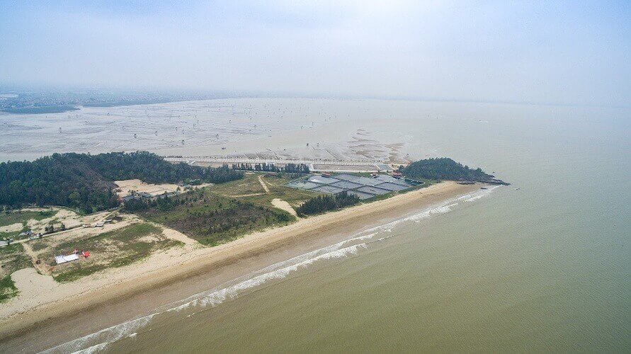 Flamingo Hải Tiến Thanh Hoá thu hút đông đảo nhà đầu tư