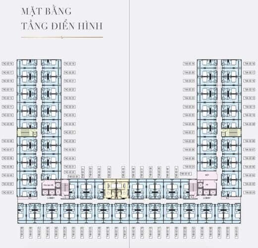 Layout mặt bằng tòa T4 dự án Vinholiday Phú Quốc 