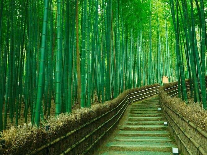 Vườn tre Vinpearl Land Gia Lâm mang đậm màu sắc văn hoá Việt