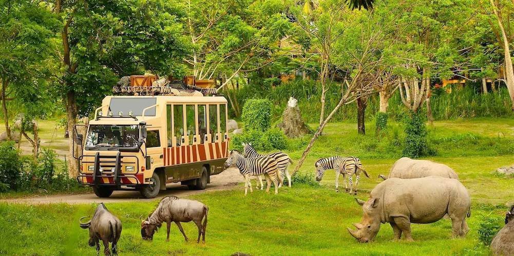Safari Vinpearl Land Gia Lâm là nơi bảo tồn nhiều loài động vật hoang dã